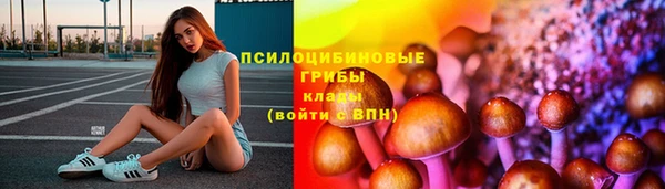 тгк Алексин
