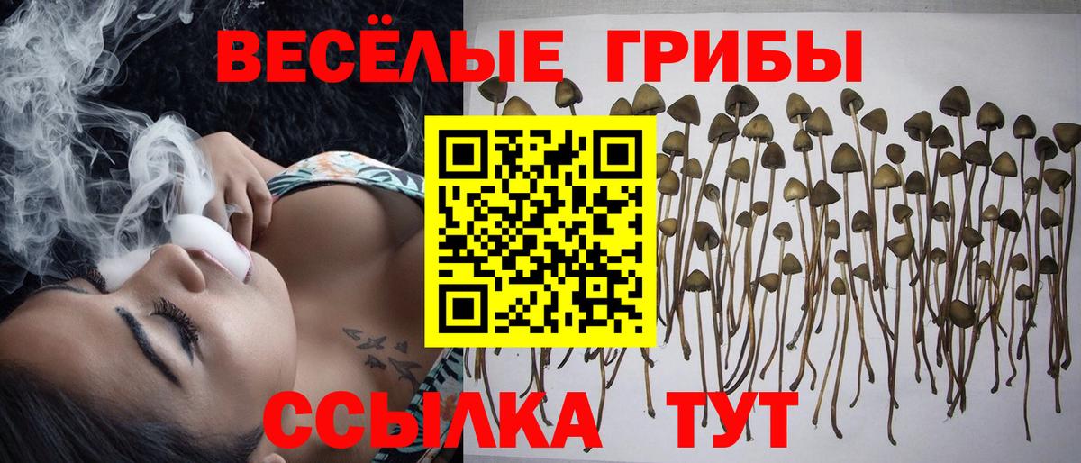 Дедовск  Псилоцибиновые грибы мицелий  Галлюциногенные грибы Psilocybine cubensis  Вход с VPN 